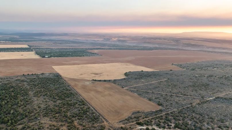 DJI_0449_1