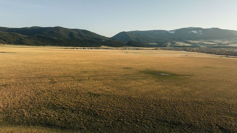 250501-DJI_0083