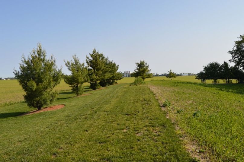 NW corner of property