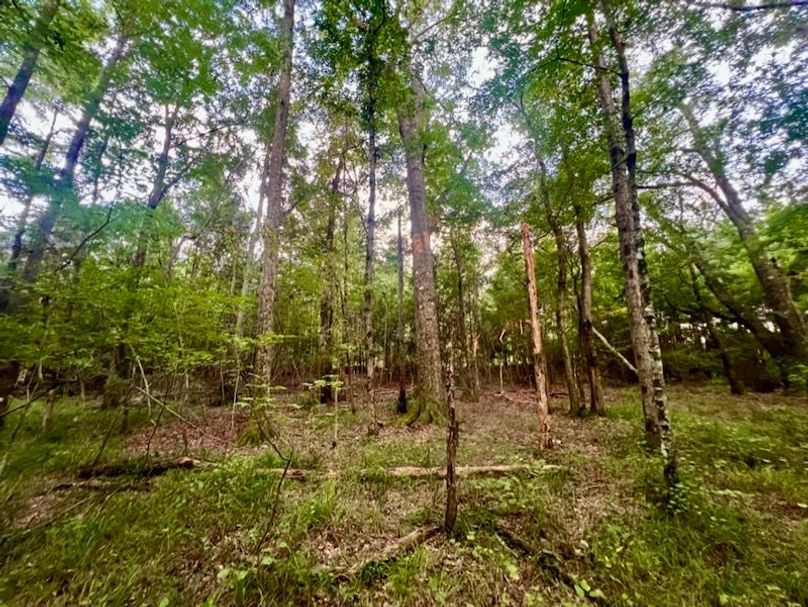 7E8B5BB4-979E-4C2F-B1D6-5B17416BCC69_1_105_c