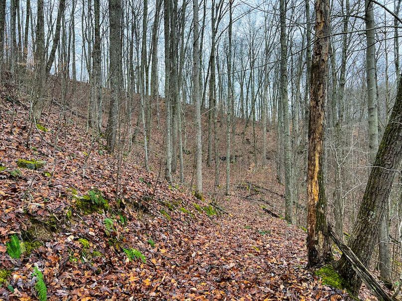 Calhoun, WV 225.69 AC Duffield-47