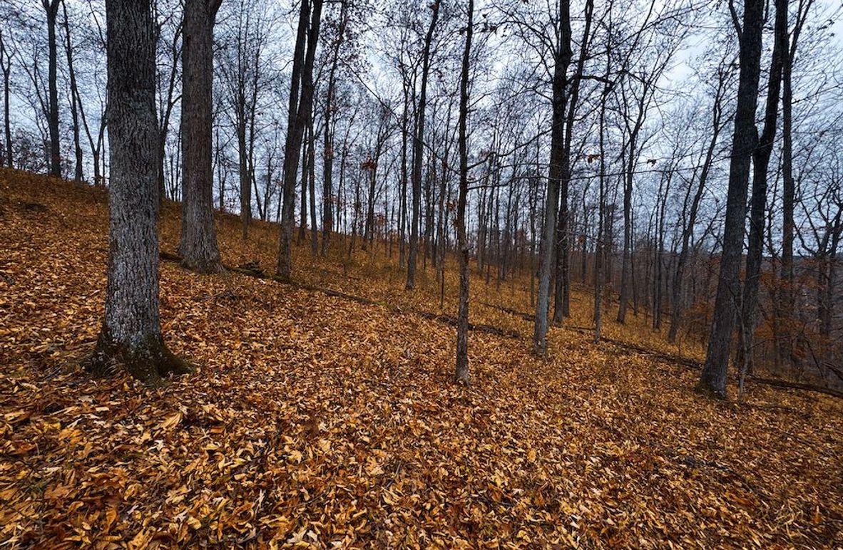 Ritchie, WV 100 AC Harper-03