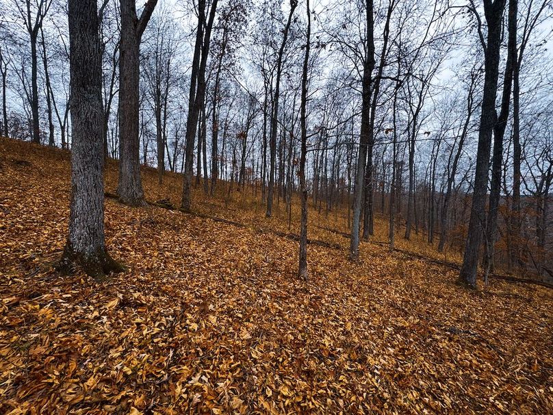 Ritchie, WV 100 AC Harper-03