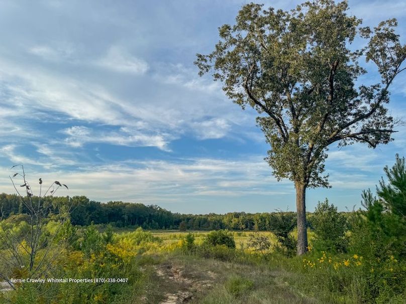 DeSoto 329 Prewett (Thompson) -29