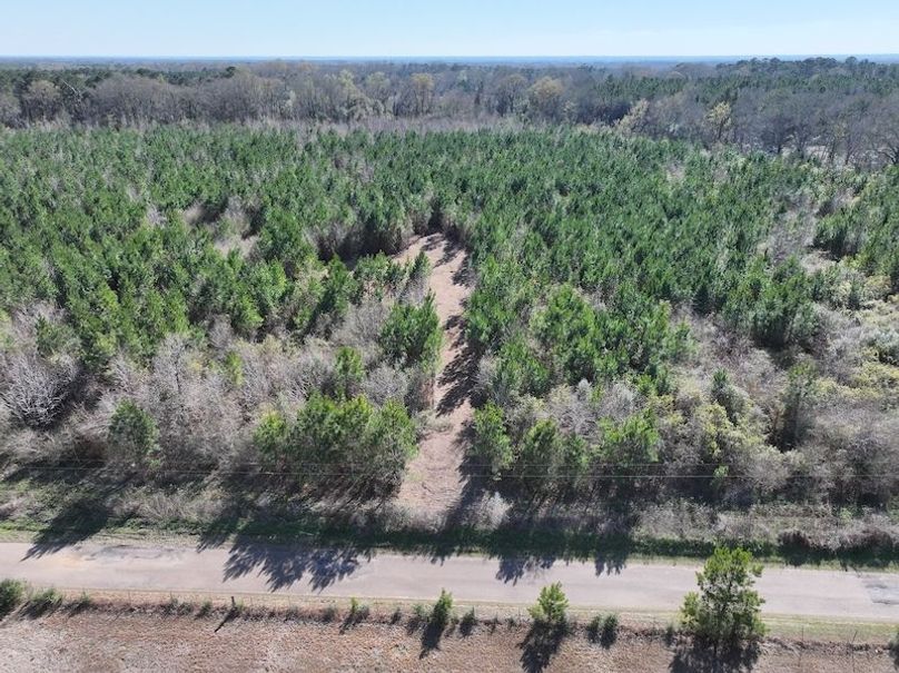 dji_fly_20260302_130758_0350_1772559697361_photo