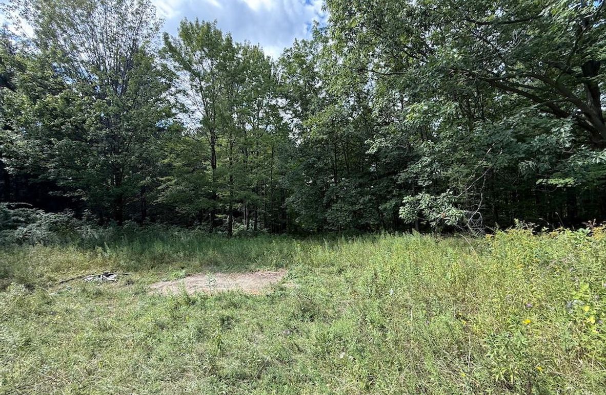 Ontario_2.7_Proseus Photo 4