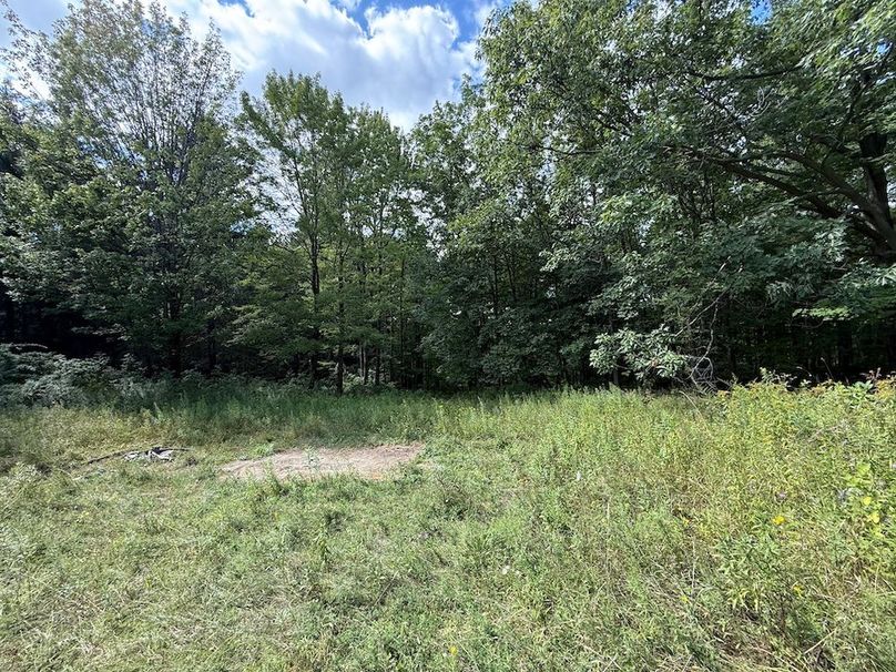 Ontario_2.7_Proseus Photo 4