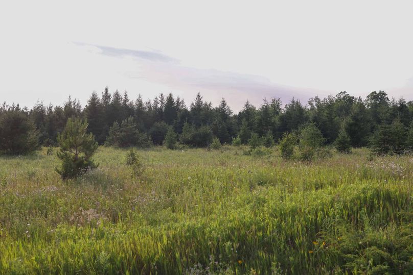 Mackinac20Fewins-6144