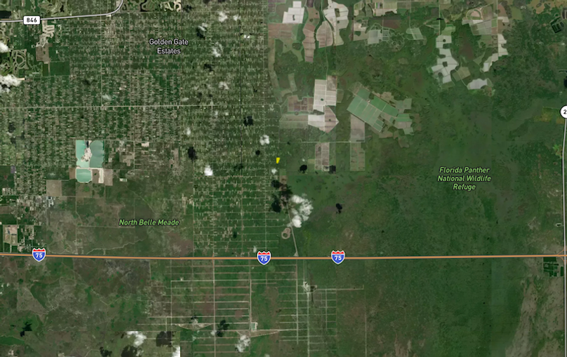 Screenshot 2026-02-17 at 10.39.29 AM