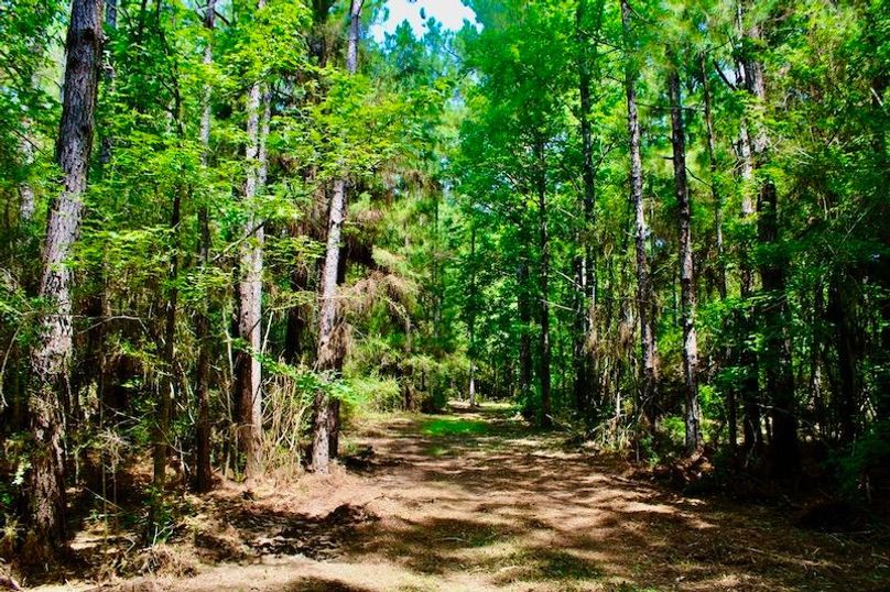 B26F1687-BF57-48B0-9419-1CFB85F3A689_1_105_c