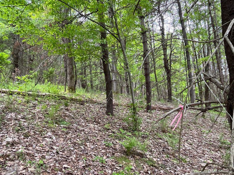 Tioga_18.72_Coulson Photo 22