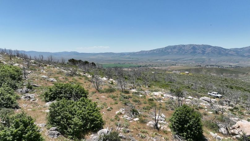 DJI_0436