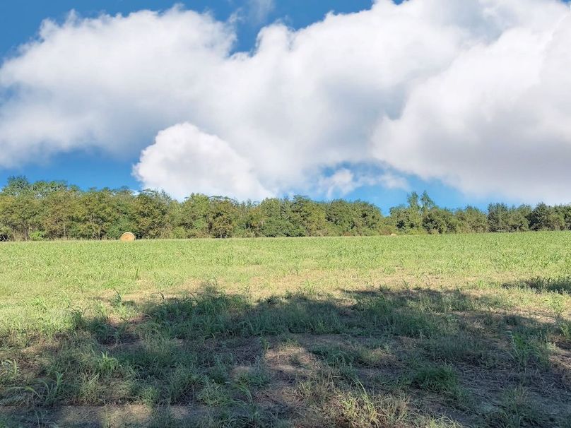 7A48F3CA-ED43-4A50-8B71-483DFF9A88ED