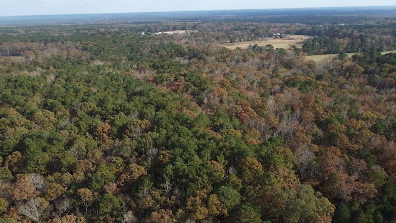 hot spring 1920251113_0381