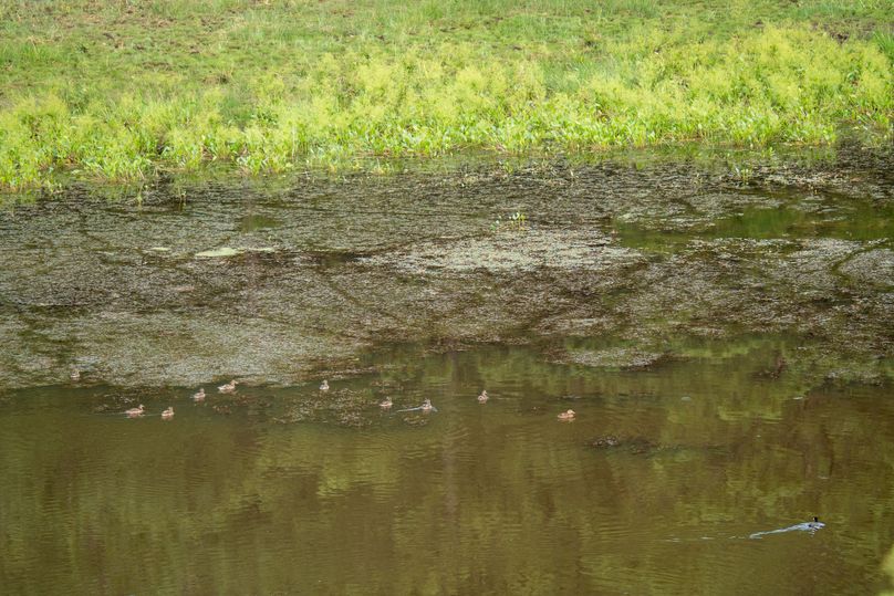 Cibola NM 13,053-6820