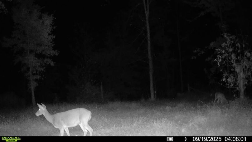 016578004352834-93-4-09192025040801-SYFW00195