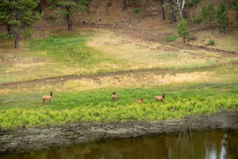 Cibola NM 13,053-6798