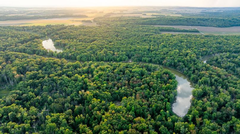 DJI_20251002051528_0015_D