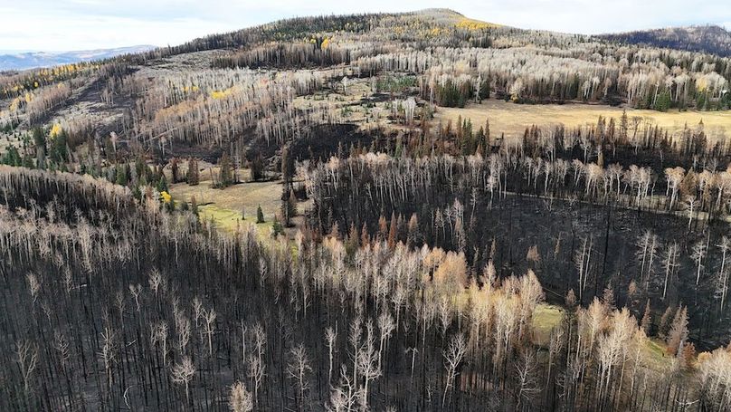 DJI_20250927093043_0202_D