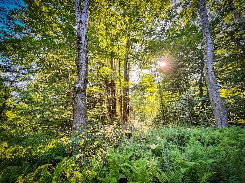 Jefferson_53.29_Johnson_Photos_41