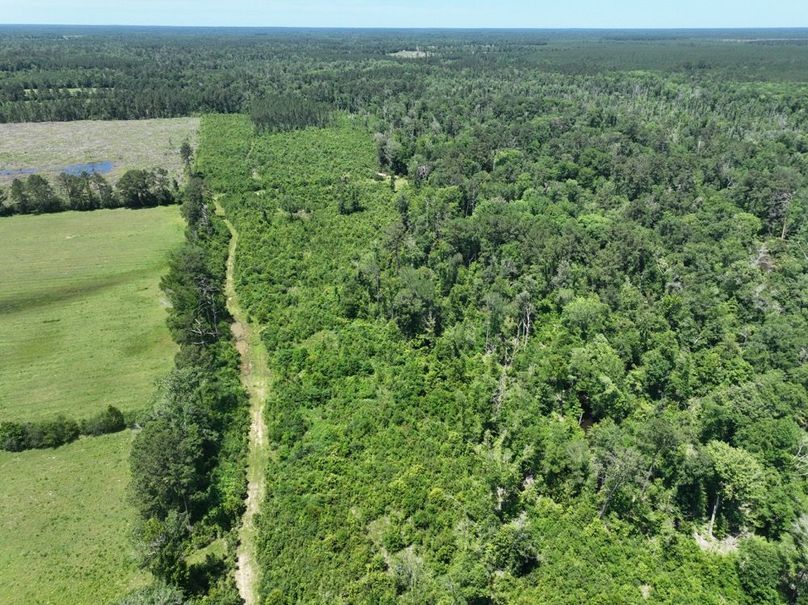 dji_fly_20250522_160218_216_1747959414610_photo