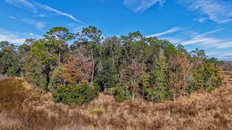 Copy of DJI_20251203235409_0706_D