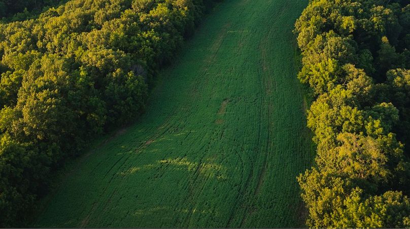 DJI_0091-HDR-2