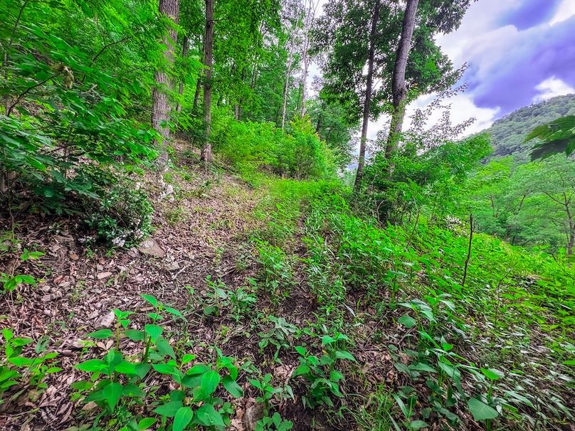 Clay, WV 14.839 AC-13