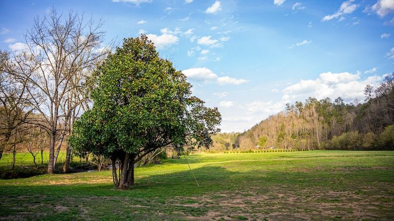 Sevier TN 77.63 Featured_Pro Photo-39