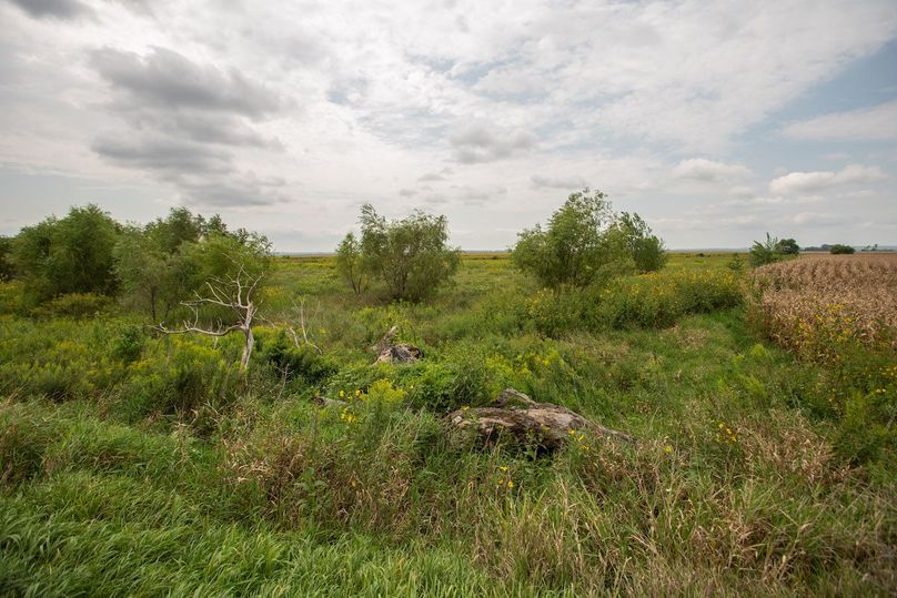 ATCHISON CO MO 31.47_17