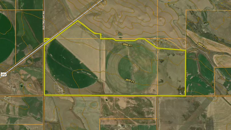 Screenshot 2025-08-06 at 11.53.43 AM