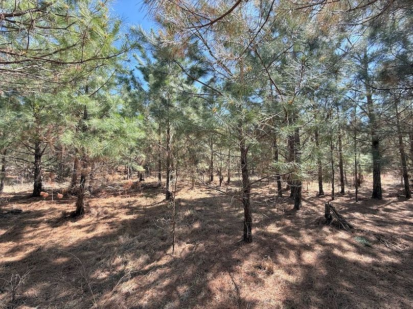 C5DFCFA9-3155-4361-AC5B-BBF2978357F3