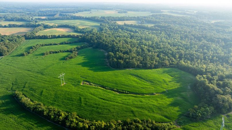 Copy of Copy of DJI_20250807182523_0057_D Large