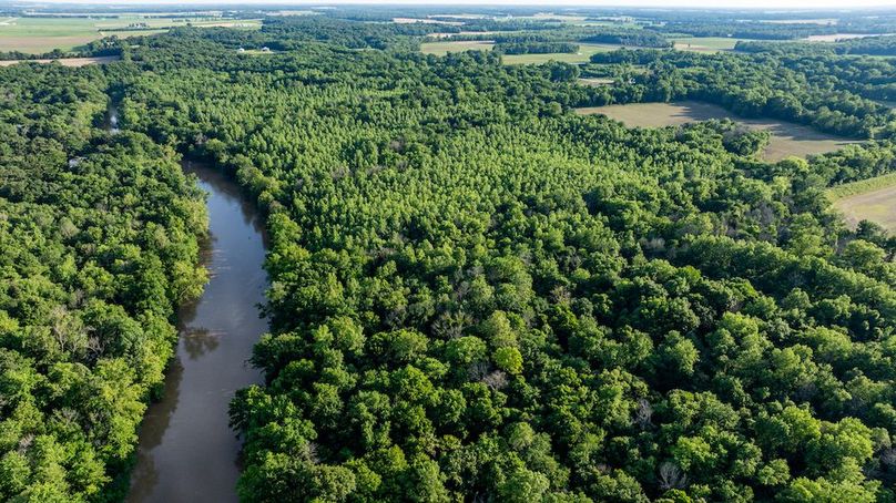 DJI_20250620054711_0010_D