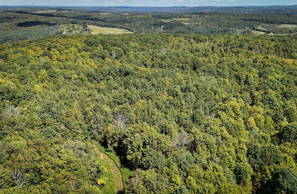 Tioga NY 64 Shores 3