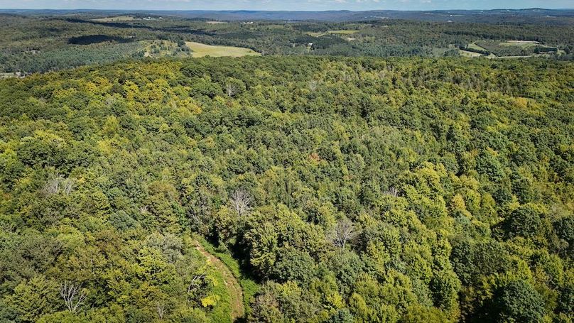 Tioga NY 64 Shores 3