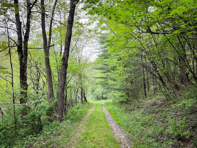 Tioga_78_Biada_Photos_94