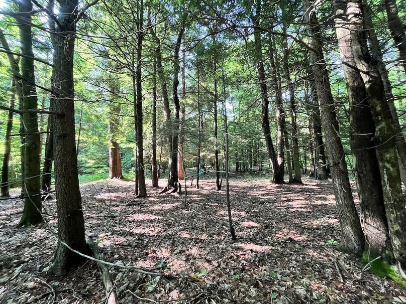 Oswego_22.46-Ross-French_Photos_35