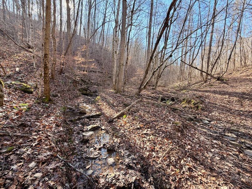 Roane Co TN 396 20251127_38