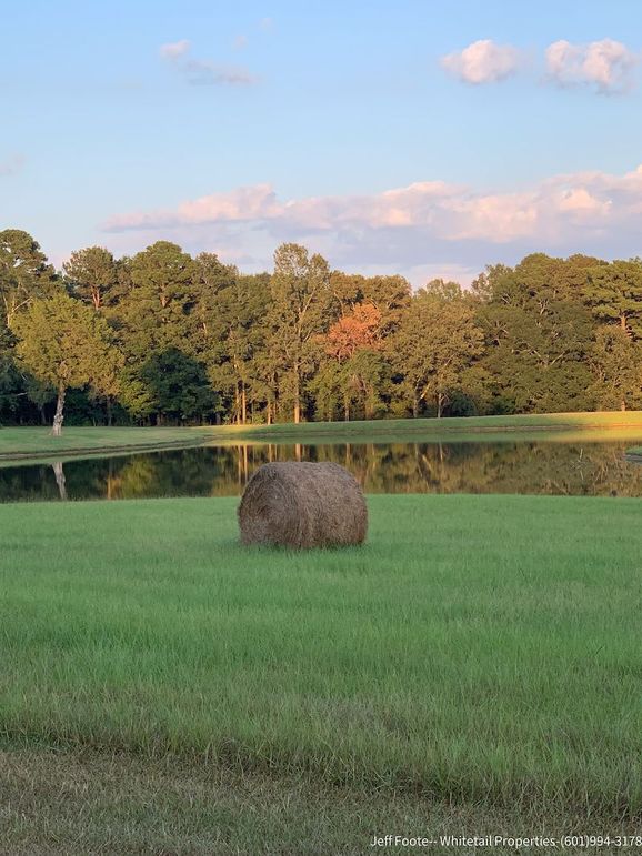 Hinds Co - 39.98 - M Beasley-17