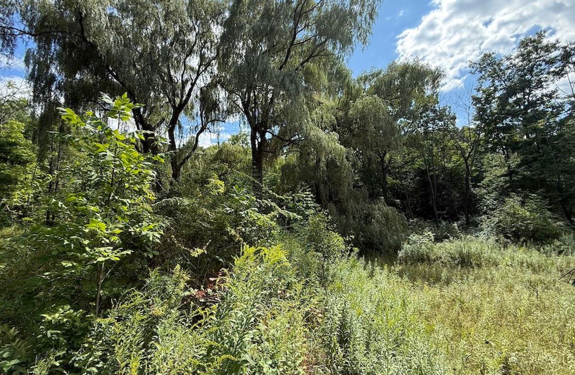 Ontario_2.7_Proseus Photo 2