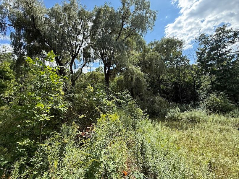 Ontario_2.7_Proseus Photo 2