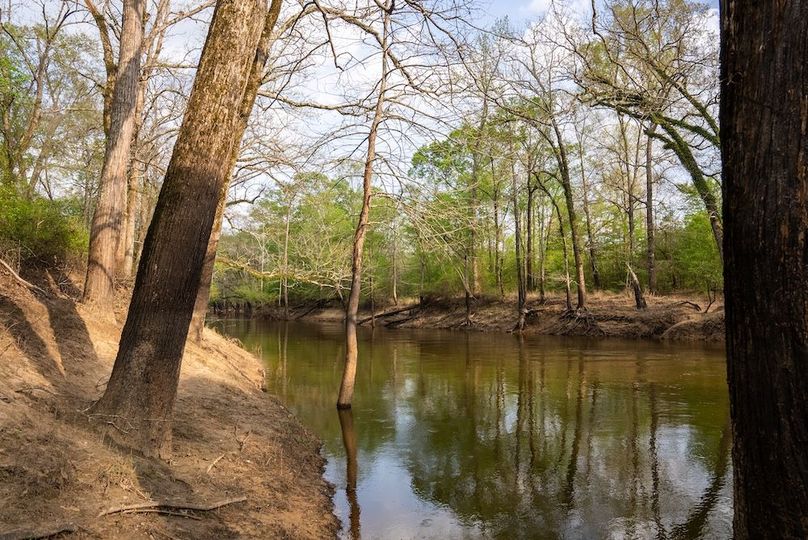 Copy of 77 Marion TX 143 and 117 Featured_ProPhoto-3