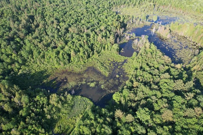 Jefferson_260.3_ Lobach_Photos_64