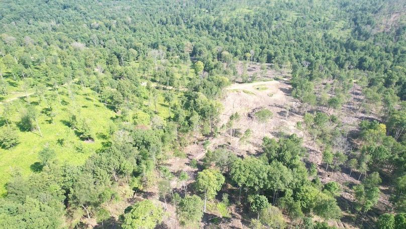 dji_fly_20250624_095800_346_1750773641316_photo(1)