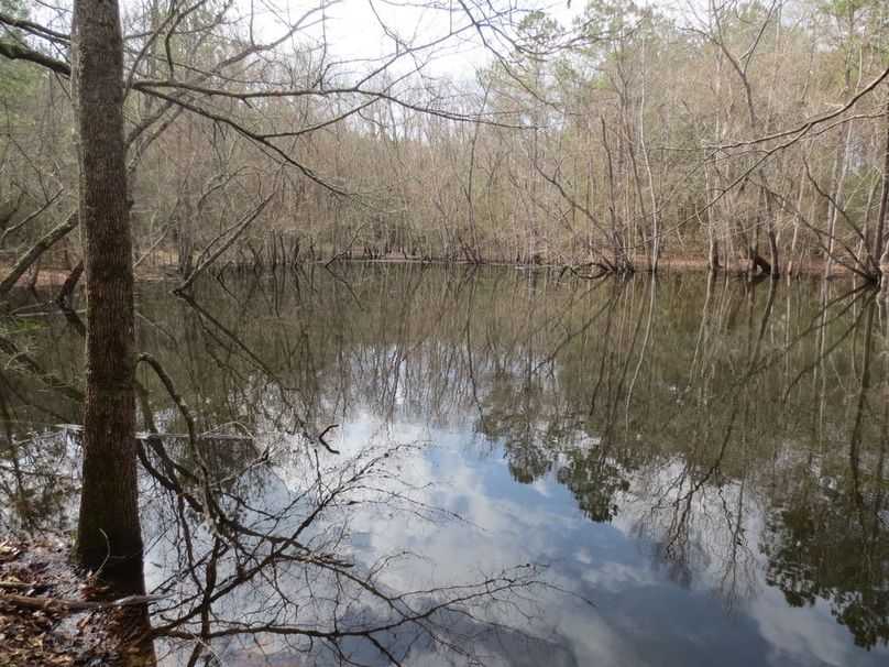 8974C6F3-4B38-4C26-91D8-E02C79744015_1_105_c