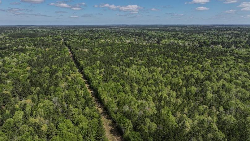 DJI_20260327115940_0053_D