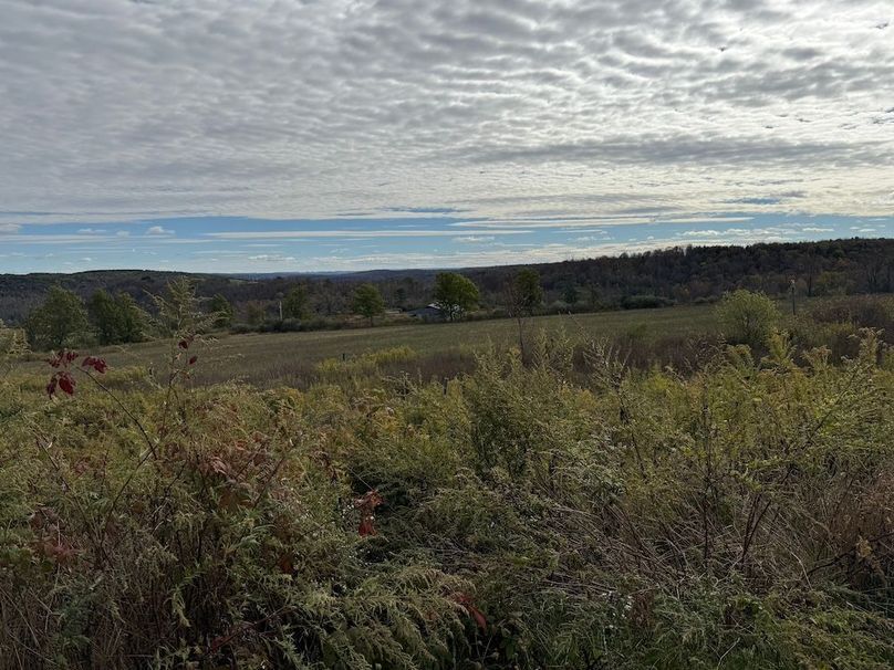 Chemung_184.12_Sterling 12