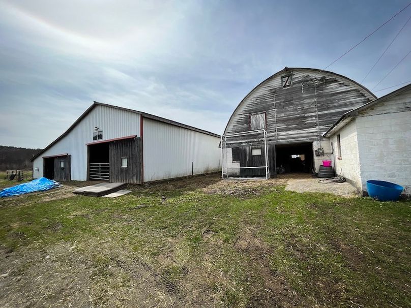 Tioga__NY_109.7_Burris_Photos_116