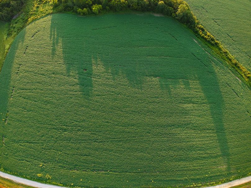 DJI_20250823072052_0945_D